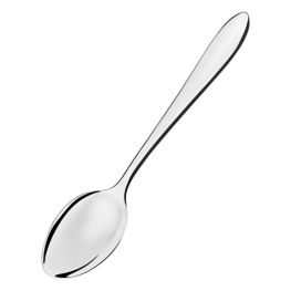 Satri Coffee Spoon