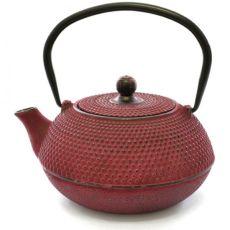 Eetrite Cast Iron Tetsubin Teapot, 600ml